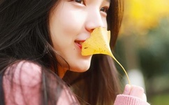 野花日本大全免费观看中文